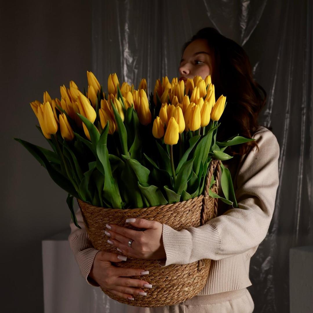 Тюльпан Россия желтый