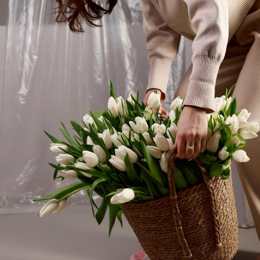 ТЮЛЬПАН РОССИЯ БЕЛЫЙ