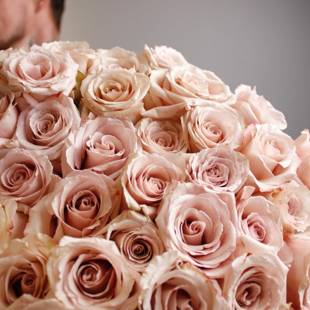 Роза сортовая Quicksand