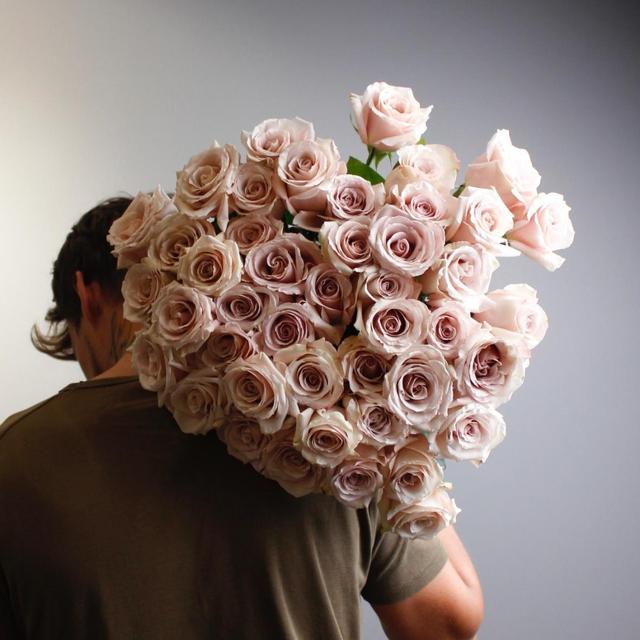 Роза сортовая Quicksand