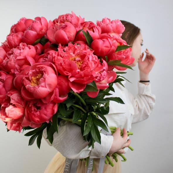 Пион Coral Сharm (цена за 1 шт)