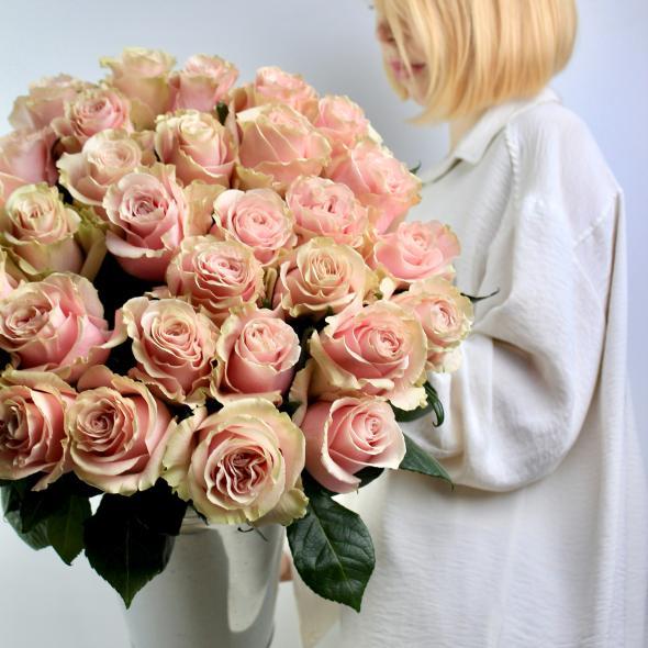 Роза Эквадор Pink Mondial 60 см