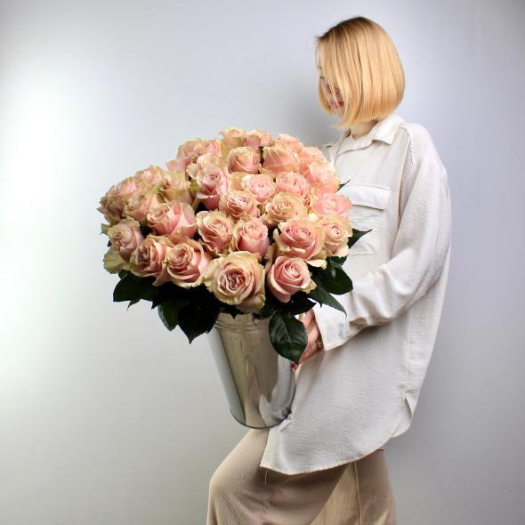 Роза Эквадор Pink Mondial 60 см