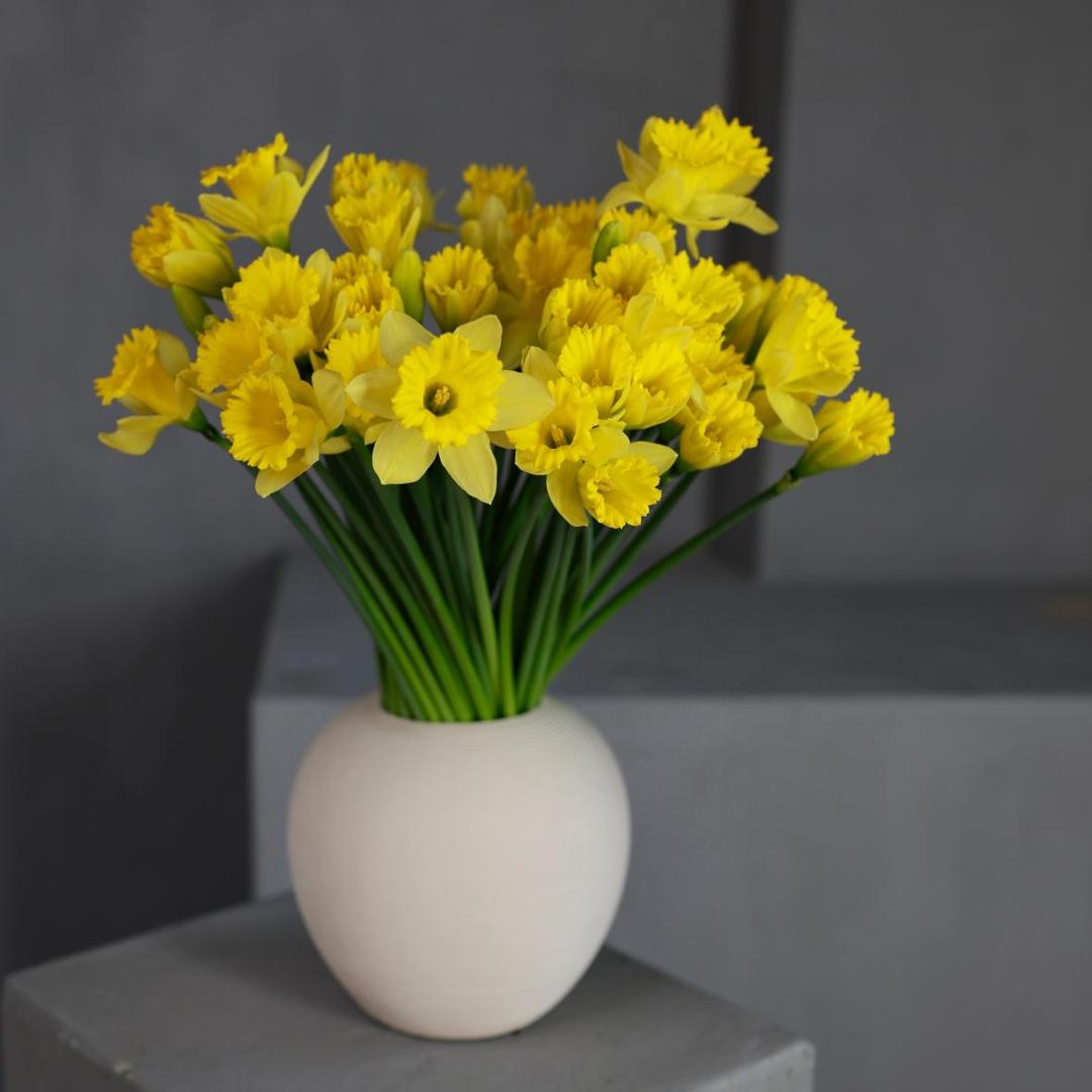 Нарцисс (мини)