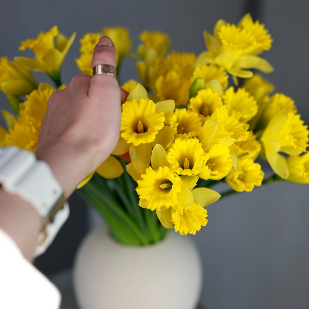 Нарцисс (мини)