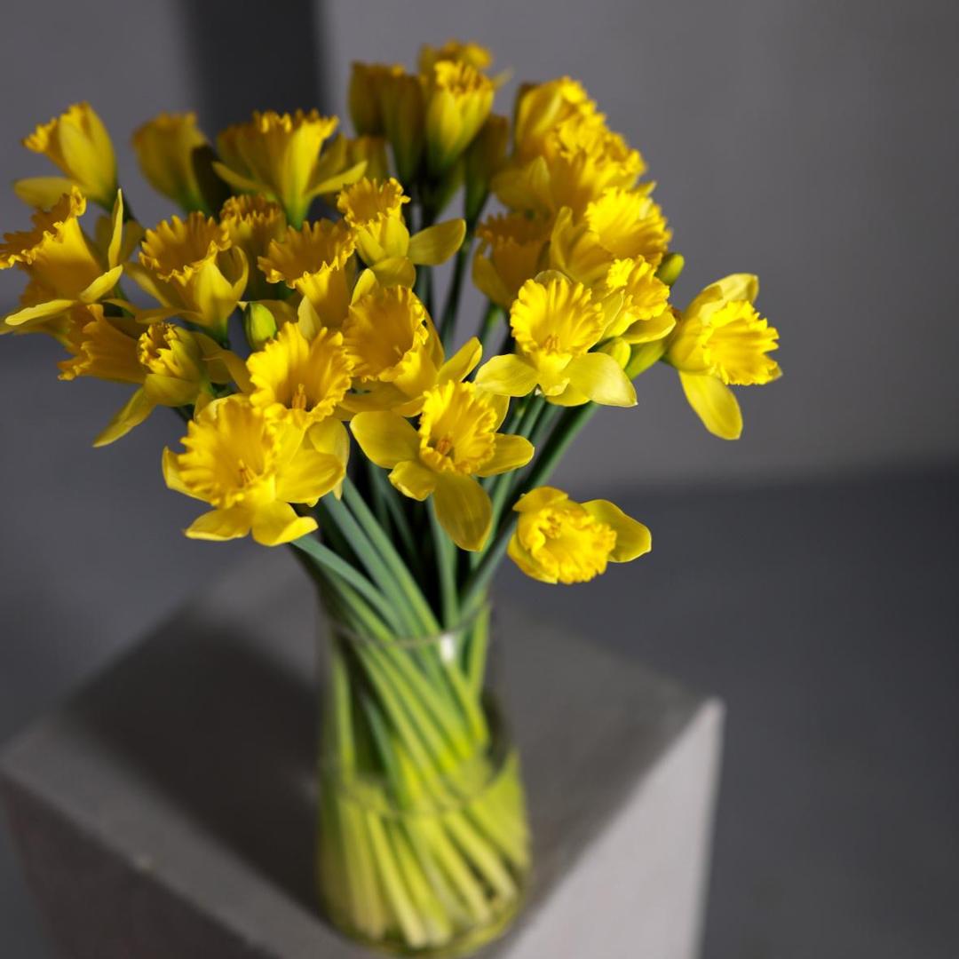 Нарцисс (мини)