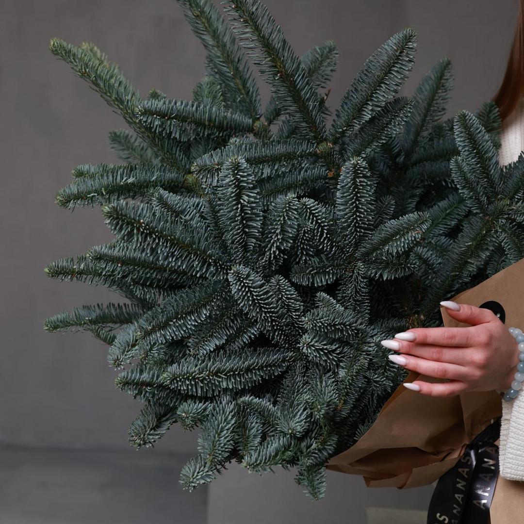 Нобилис (стоимость указана за банч)