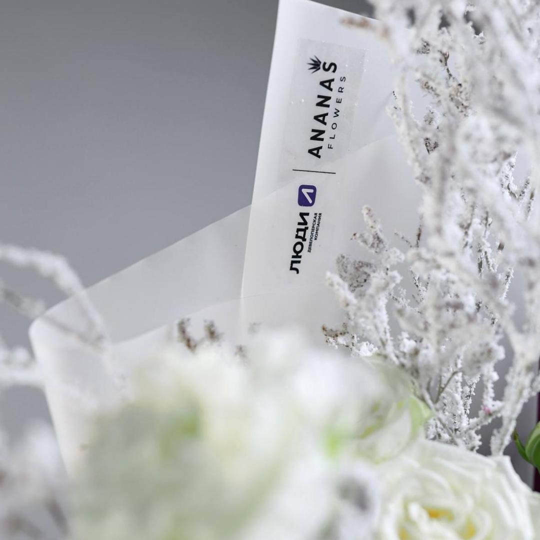 Лимитированная коллекция "ANANAS & ЛЮДИ"