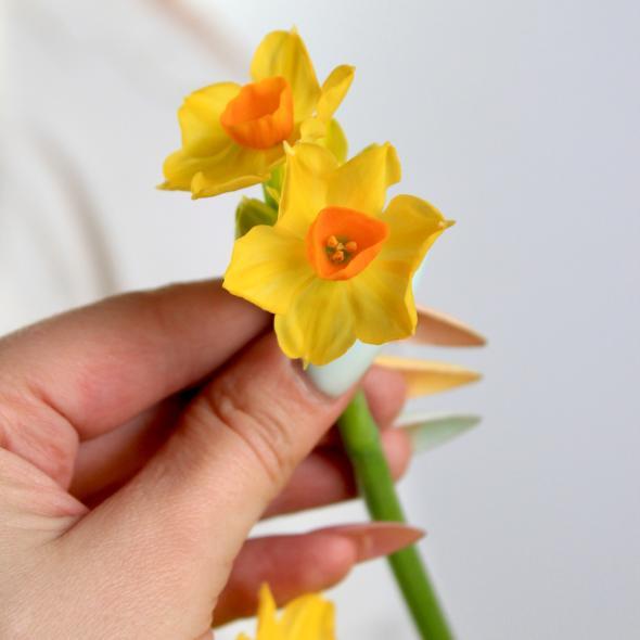 Нарцисс (мини)