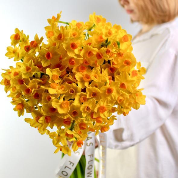 Нарцисс (мини)