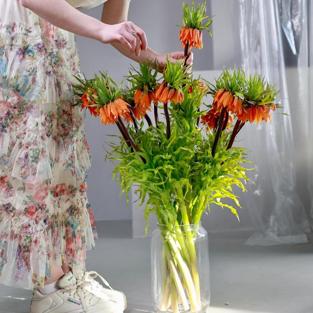 Фритиллярия