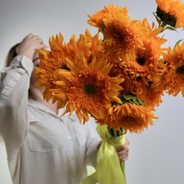 Подсолнух медвежонок