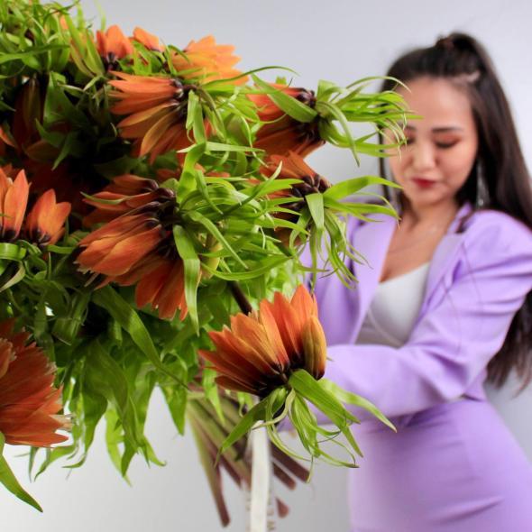 Фритиллярия