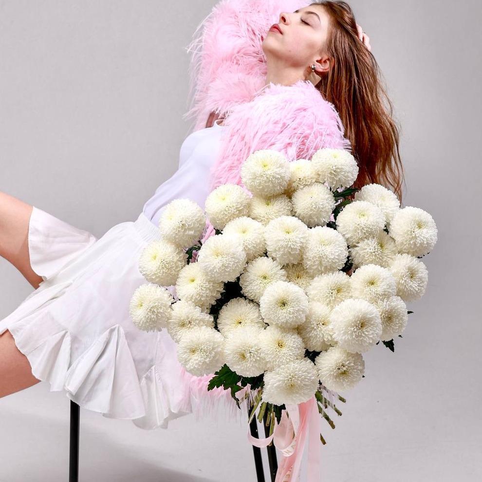 Хризантема одноголовая сортовая