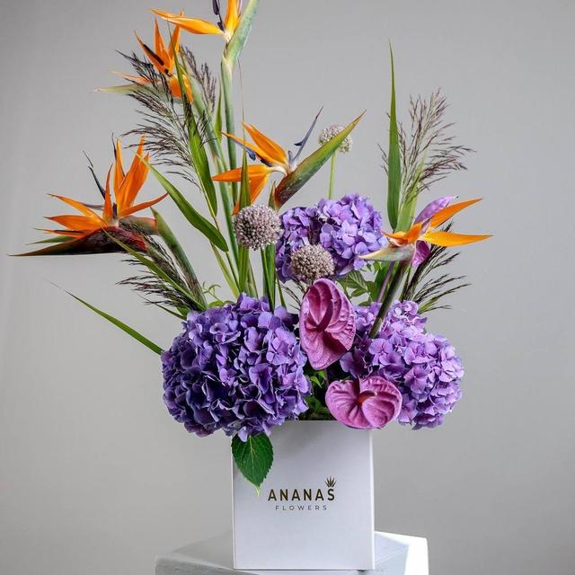 Авторская композиция с экзотичной стрелицией Авторская композиция с экзотичной стрелицией