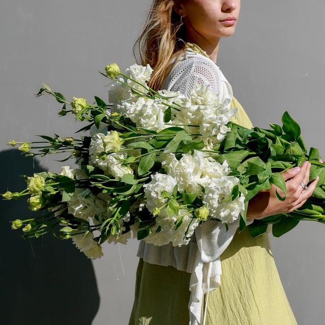 Эустома белая Эустома белая