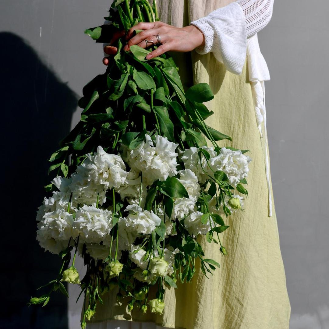 Эустома белая