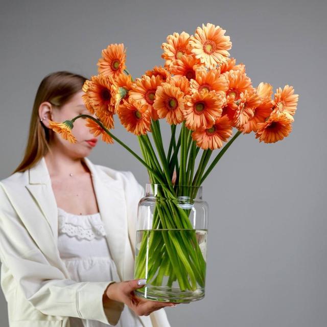 Гербера мини Orange Гербера мини Orange