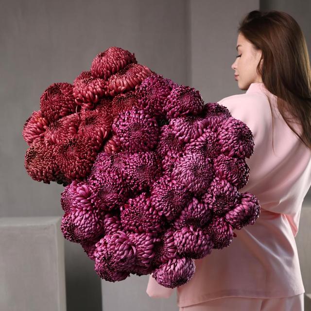 Хризантема Бигуди Хризантема Бигуди