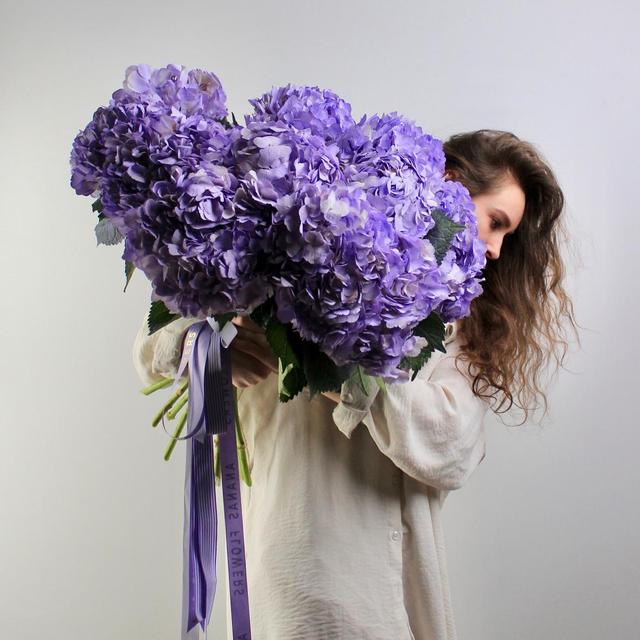 Гортензия Milk Гортензия Milk