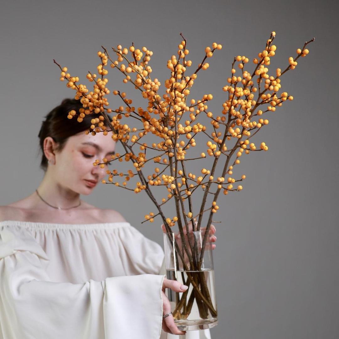 Илекс оранжевый