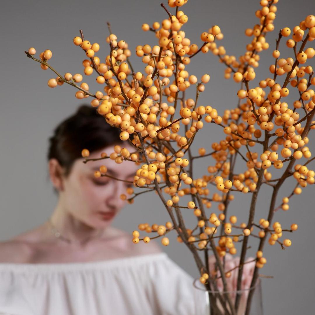 Илекс оранжевый