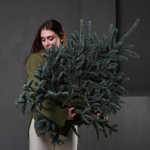 Нобилис (стоимость указана за банч) Нобилис (стоимость указана за банч)