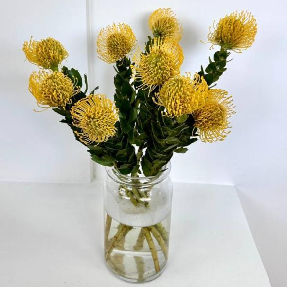 Нутан жёлтый Нутан жёлтый