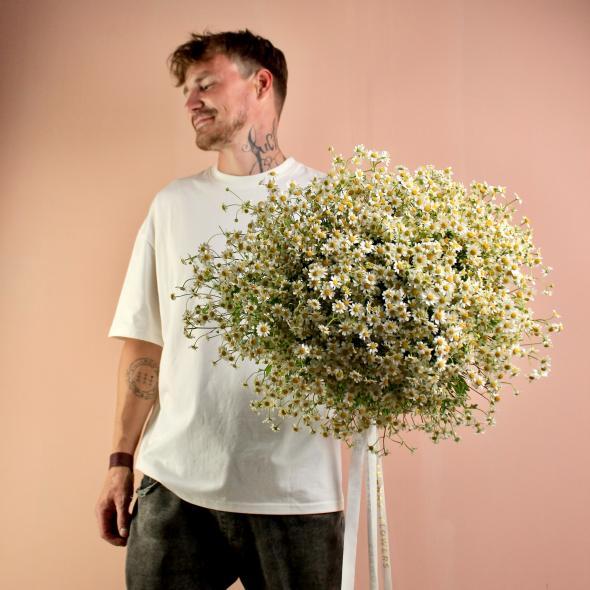 Ромашка танацетум