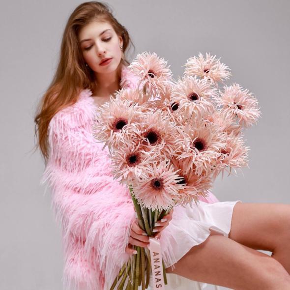 Гербера сортовая Гербера сортовая